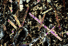 Thin Section